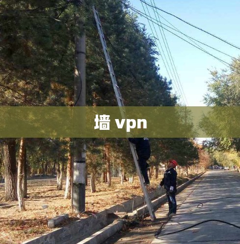 墙 vpn